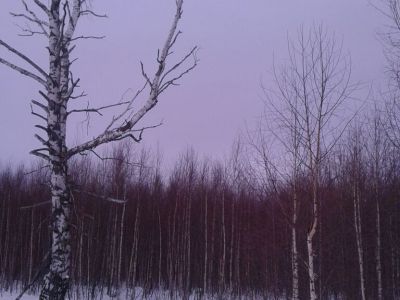 Священная роща