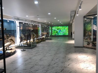 Музей «Природа Прикаспия»