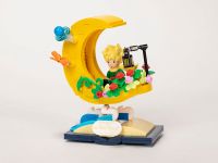 The Little Prince 86318 Конструктор Маленький принц: На Луне