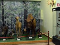 Губкинский краеведческий музей