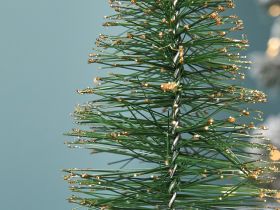 Статуэтка Дерево/Tree II