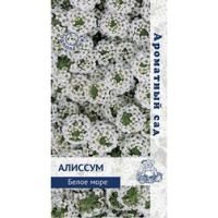Алиссум Белое море (Ароматный сад)