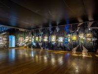 Музей художественного освоения Арктики им. А. А. Борисова