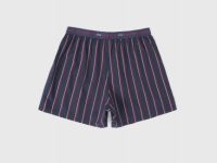 Трусы в полоску, Синий