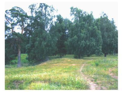 Священная роща