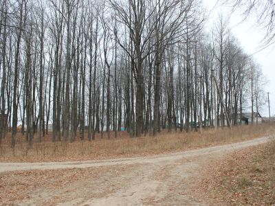 Памятное место, где летом и осенью 1917 г. происходило массовое крестьянское движение