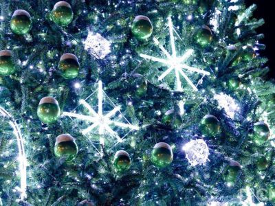 Якутяне рассказали о нелюбимых делах в преддверии Нового года