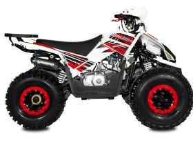 Квадроцикл SHARMAX Cross 180