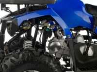 Квадроцикл TIGER Extra 175cc (2024)