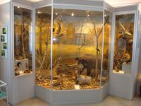 Краснояружский краеведческий музей