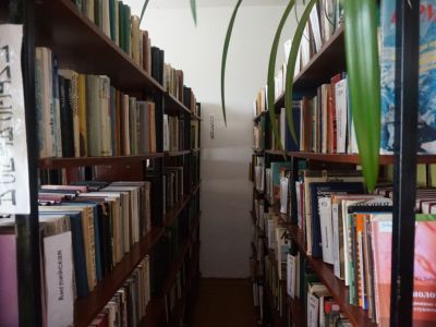 Сомёнская библиотека