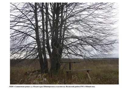 Священная роща