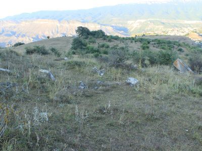 Кладбище поселения "Хиарин гъул"