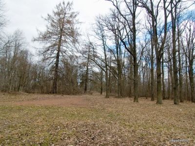 Усадьба "Андромер". Парк