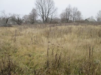 Родина Героя Советского Союза П.Я.Яковлева, погиб в октябре 1944г.