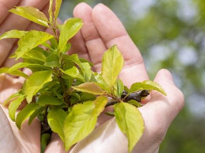 5 июня — День эколога!