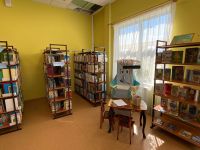 Борковская сельская библиотека