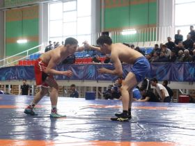 В Усть-Алданском улусе выявили победителей турнира по хапсагаю памяти Иннокентия Халдеева