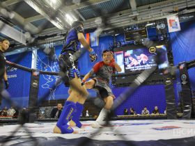 На соревнованиях по ММА в Якутии выступят чемпионы ДФО и призеры Кубка России