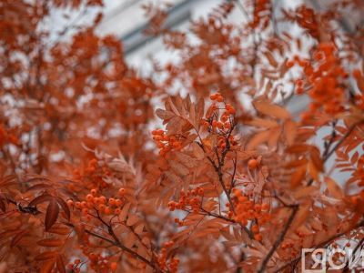 Анна и Савва Скирдники 10 сентября 2023 года: история, запреты и приметы праздника