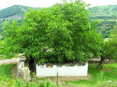 Мавзолей Молла-Мамма, сына Мухамедхана