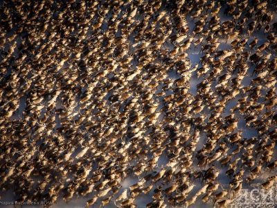 В Якутии разработают концепцию развития сельского хозяйства в арктических районах