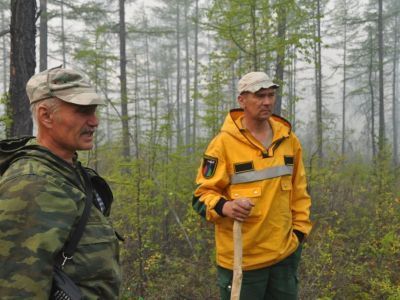 Тайга нуждается в бережном отношении