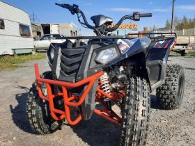 Квадроцикл RAPTOR Madman 200