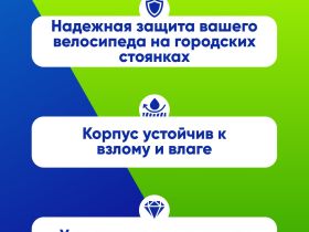 Onguard Велозамок OnGuard Bulldog LS 115 x 292mm (8009), цвет Черный