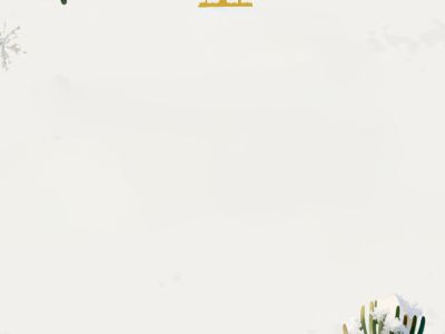 Новогодний банкет в ресторане Семейные Традиции (Видное)