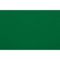 Бумага для пастели Fabriano "Тiziano" 21x29,7 см 160 г №12 зеленый
