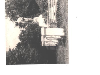 Братская могила 860 воинов Советской Армии, погибших в 1941-1943 гг. в боях с немецко-фашистскими захватчиками. Установлена скульптура