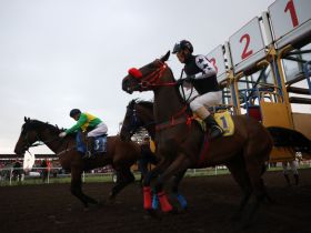 Стали известны победители конных скачек на призы главы Якутии