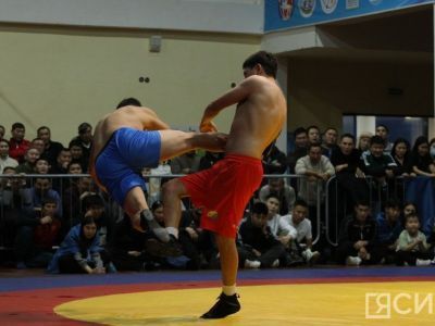 В Кыргызстане будет создана международная федерация по борьбе хапсагай