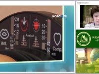 Признаки жизни и смерти. Проведение искусственного дыхания и непрямого массажа сердца (практикум)