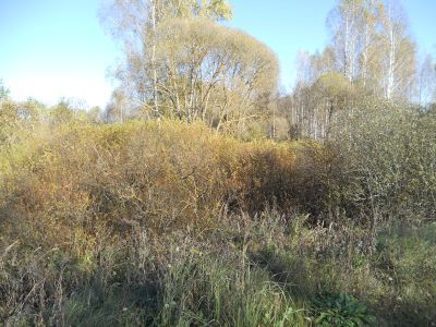 Памятное место, где в 1941-1942 гг. базировались партизанские отряды под командованием Шпилевого и Хвостова