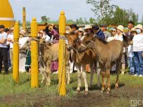 Фото: открытие Ысыаха Туймаады-2025