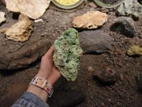 Культурно-просветительский комплекс «Музей вулканов на Камчатке «Вулканариум»