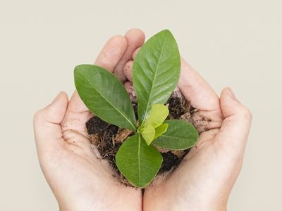 Роскачество будет сертифицировать офисы, магазины и производство косметики по экологическим стандартам