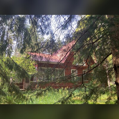Комарово: от старинных дач до «будки» Ахматовой (Комарово (Лесная сторона). От старинных дач до "будки" Ахматовой.)