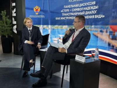 «Нордголд» во Владивостоке рассказал о роли бизнеса в спасении стерха