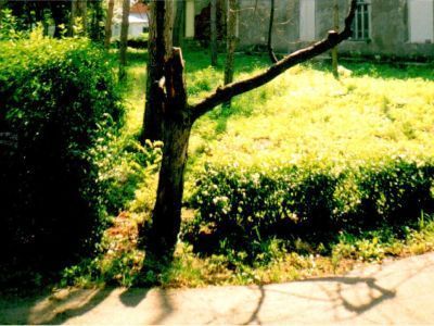 Дом помещика Булаткина