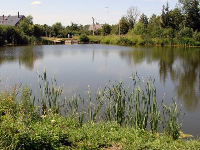 Усадьба, принадлежавшая семье Фонвизиных