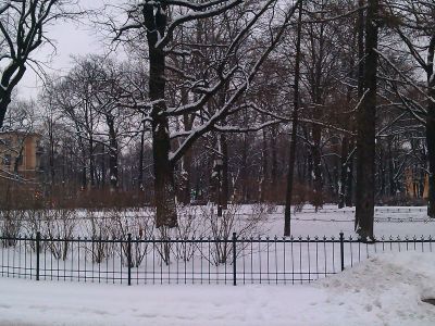 Сад