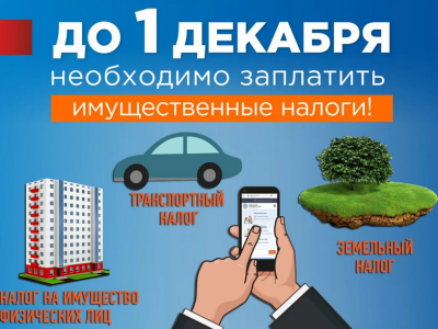 Крайний срок уплаты имущественных налогов  - 1 декабря