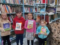 Библиотека № 22 с. Красный Яр