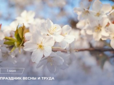 Поздравление Председателя СК России А.И. Бастрыкина с Праздником Весны и Труда