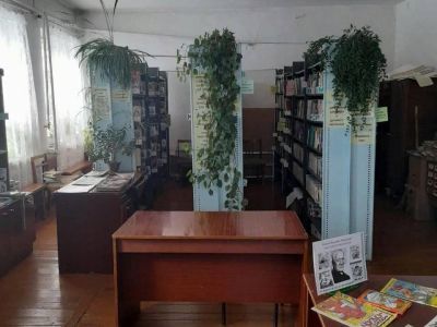 Горноисетская библиотека