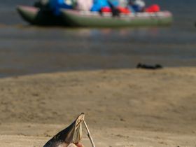 Рыбалка на реке Туолба