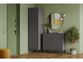 Распашной шкаф Трейвис 1-48x205 Графитовый